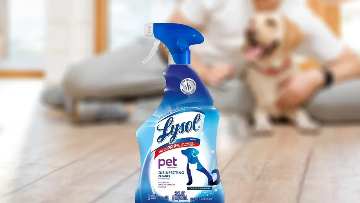 Dog ate 2024 lysol wipe