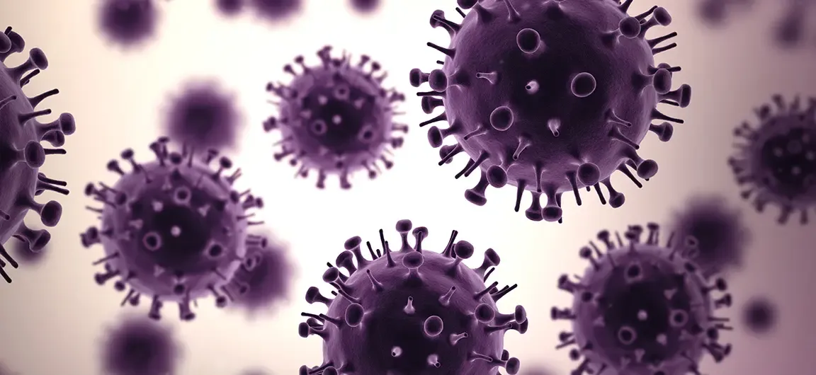 Illustration of spherical virus particles with spike proteins in purple tones.